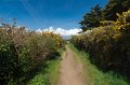 0257Pen Castel